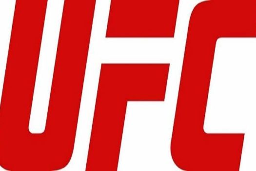 Após quatro anos, UFC volta a São Paulo em novembro