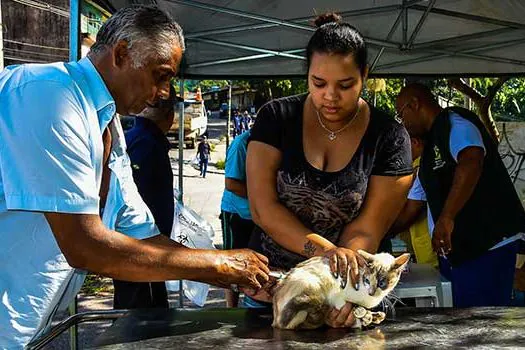 Santo André promove nova campanha de vacinação antirrábica