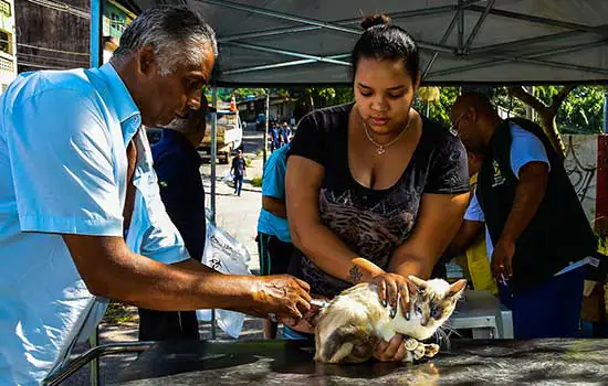 Santo André promove nova campanha de vacinação antirrábica