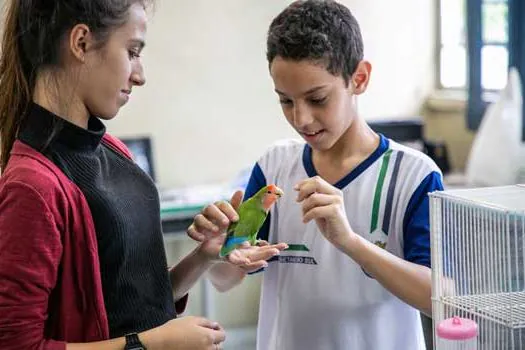 Escolas de São Caetano promovem eventos culturais e abrem espaço à causa animal