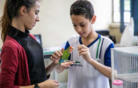 Escolas de São Caetano promovem eventos culturais e abrem espaço à causa animal