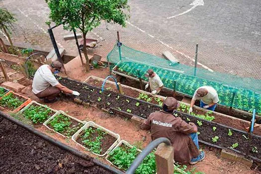 Em Diadema, Viveiro de Mudas faz parte de programa comunitário