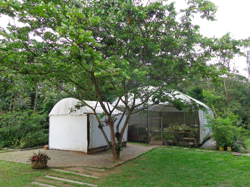 Escola de Formação Ambiental Billings celebra o Dia da Mata Atlântica