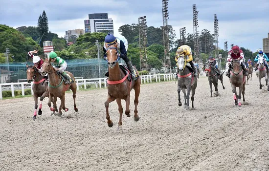 Machos e fêmeas da raça Árabe disputam Grande Prêmio no Jockey Club de São Paulo