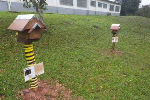 Ribeirão Pires presenteia escola com colmeias de abelhas nativas