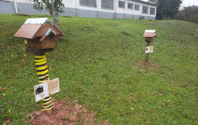 Ribeirão Pires presenteia escola com colmeias de abelhas nativas