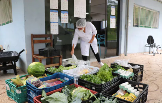 Abrigos de idosos de Ribeirão Pires recebem alimentos