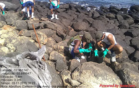 ICMBio suspende visitas a Abrolhos por causa do óleo