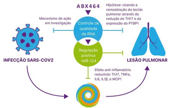 Abivax inicia pesquisa clínica em pacientes de risco para COVID-19 no Brasil