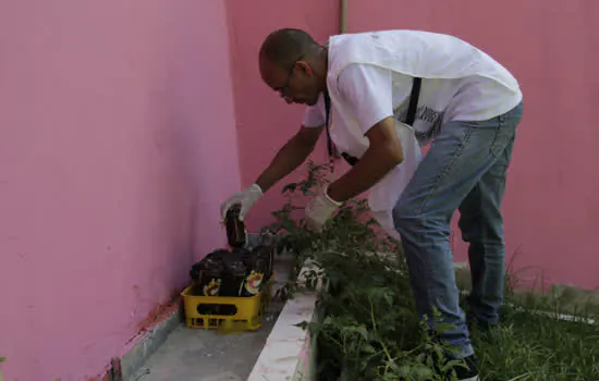 Ribeirão Pires realiza ação casa a casa contra o Aedes aegypti