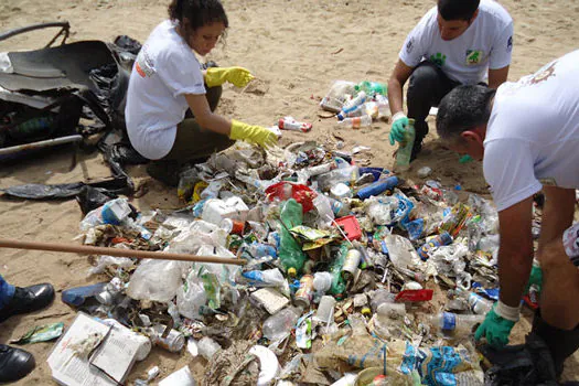 Ação retira lixo e protege espécies em águas costeiras de Ilhabela