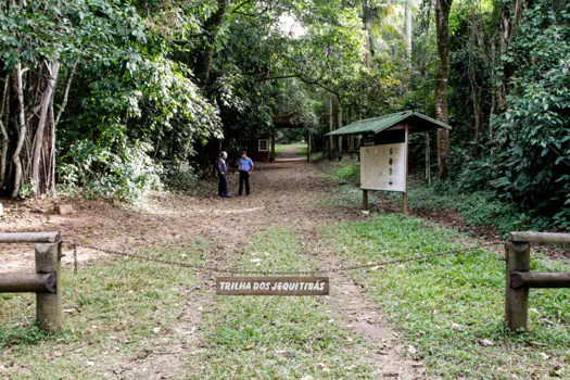 Em SP, Parque Estadual Vassununga tem programação especial até domingo (31)