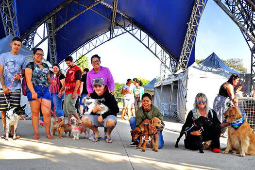 Santo André chega a marca de mil animais adotados na feira de adoção