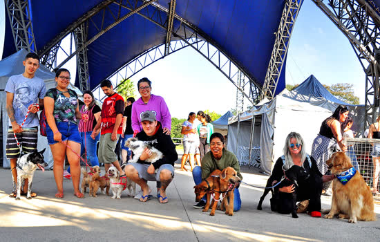 Santo André chega a marca de mil animais adotados na feira de adoção