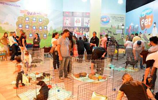 Golden Square Shopping realiza 9º Feira de Adoção de Animais