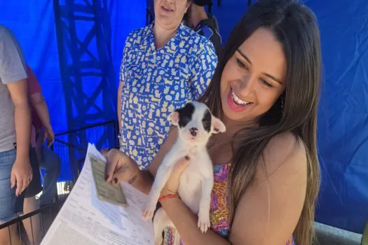 Feira de adoção “Eu amo, eu adoto” garante o lar para 40 pets