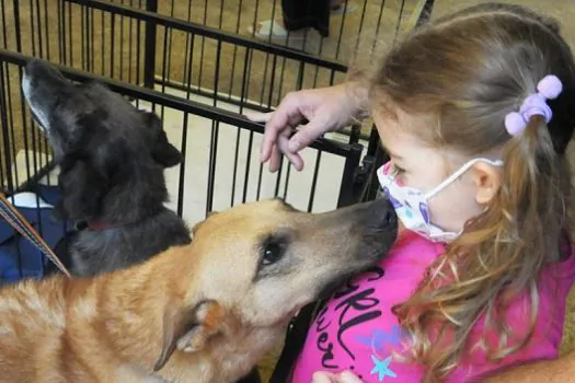 Feira de Adoção de animais movimenta andreenses no Parque Celso Daniel