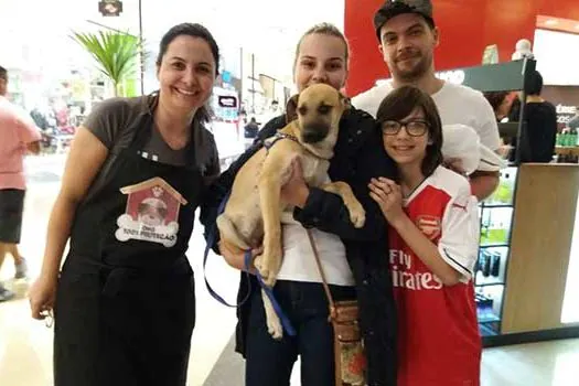 Shopping realiza evento de adoção de Pets em São Bernardo