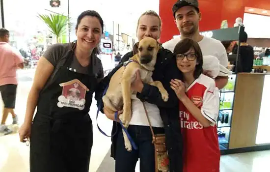 Shopping realiza evento de adoção de Pets em São Bernardo