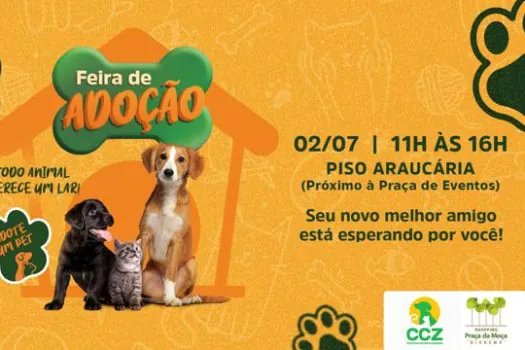 Shopping Praça da Moça realiza quarta edição da feira de adoção de animais