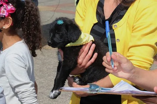 Feira de Adoção de Ribeirão Pires consegue lar para 25 cachorros