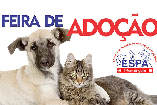 Equipe de proteção animal promove Feira de Adoção