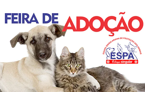 Equipe de proteção animal promove Feira de Adoção