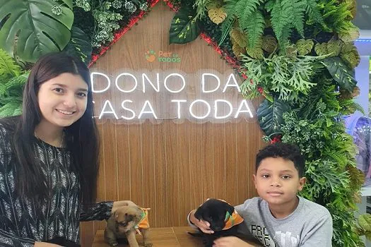 Dia Internacional do Animal Abandonado