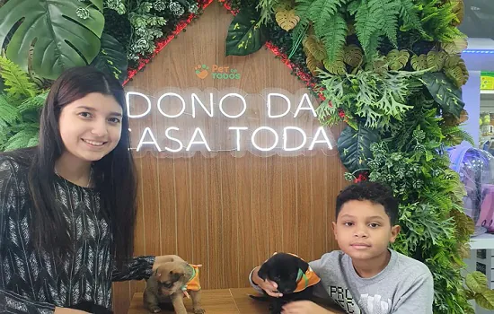 Dia Internacional do Animal Abandonado