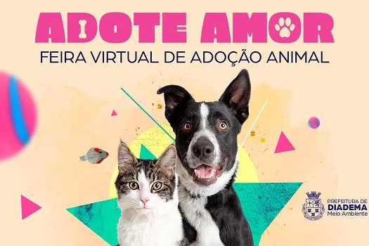 Feira virtual de adoção animal de Diadema já fez 36 bichinhos felizes