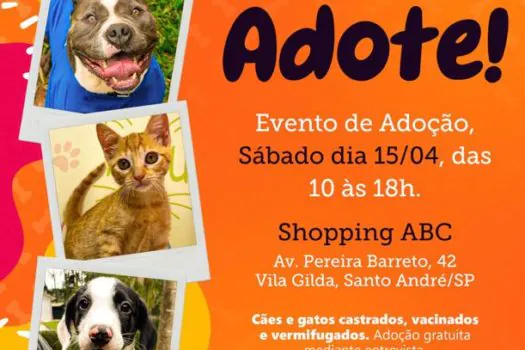 Shopping ABC e Instituto Luisa Mell realizam feira de adoção de pets neste sábado