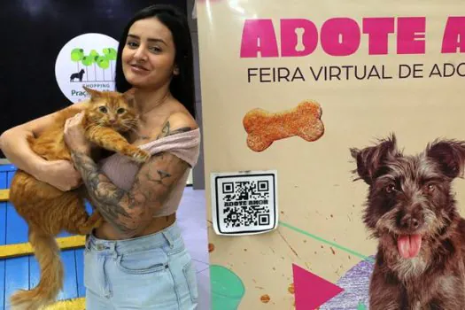 Feira de Adoção de Animais garante novo lar para nove animais