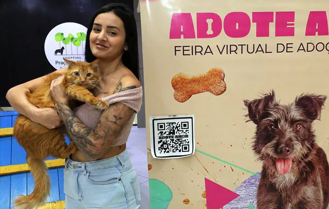 Feira de Adoção de Animais garante novo lar para nove animais