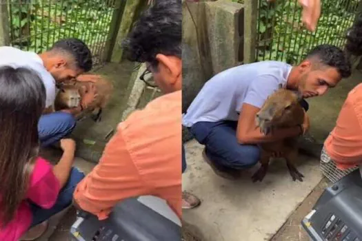 Influenciador consegue guarda provisória da Capivara Filó; entenda disputa