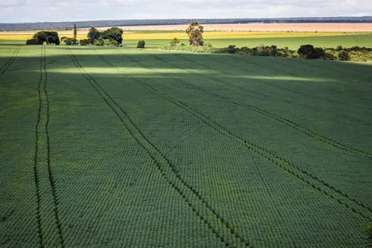 Senado aprova mudança no cálculo do preço mínimo de produtos agrícolas