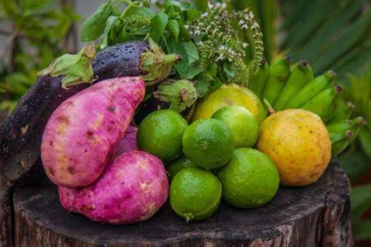 Pequenos agricultores recebem certificados de produtores orgânicos no Paraná