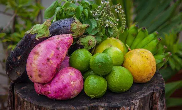 Pequenos agricultores recebem certificados de produtores orgânicos no Paraná