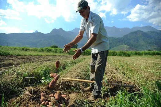 Projetos de agricultura sustentável vão receber US$ 1,2 bi do BID