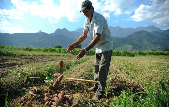 Projetos de agricultura sustentável vão receber US$ 1