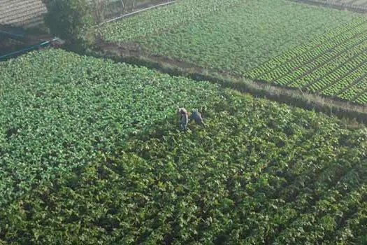 Secretaria de Agricultura inicia adesão ao ciclo 2020/2021 do Projeto Cidadania no Campo