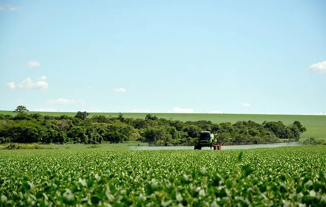 Agrotóxicos ilegais são incinerados em Mato Grosso do Sul