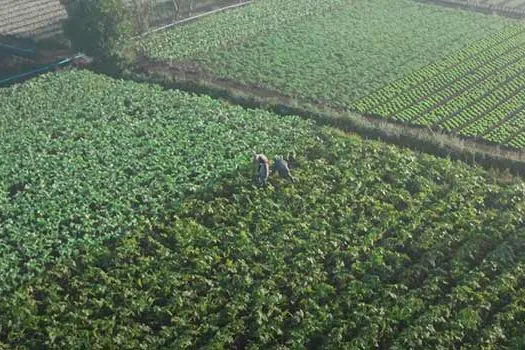 Agricultura é onde começa a vida