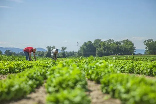 4 medidas para acompanhar o agronegócio do futuro