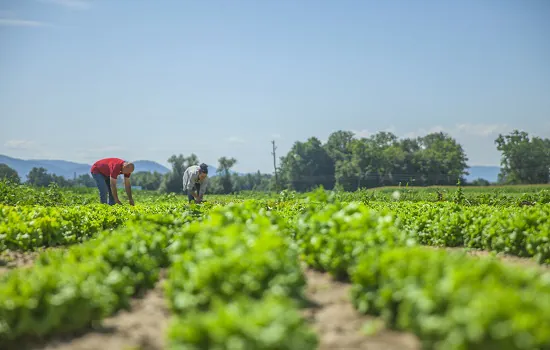 4 medidas para acompanhar o agronegócio do futuro