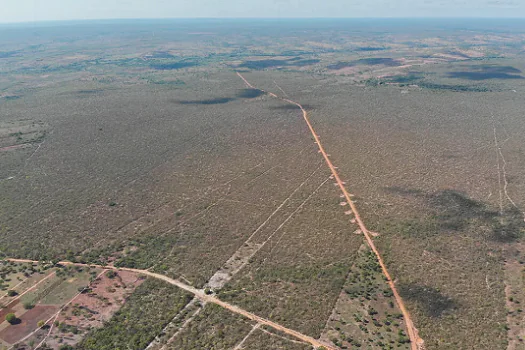 Agronegócio desmatou “51 mil campos de futebol” de vegetação nativa no cerrado baiano