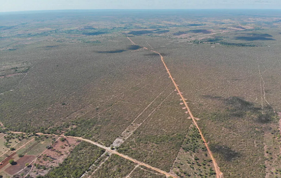 Agronegócio desmatou “51 mil campos de futebol” de vegetação nativa no cerrado baiano