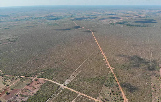 Agronegócio desmatou “51 mil campos de futebol” de vegetação nativa no cerrado baiano