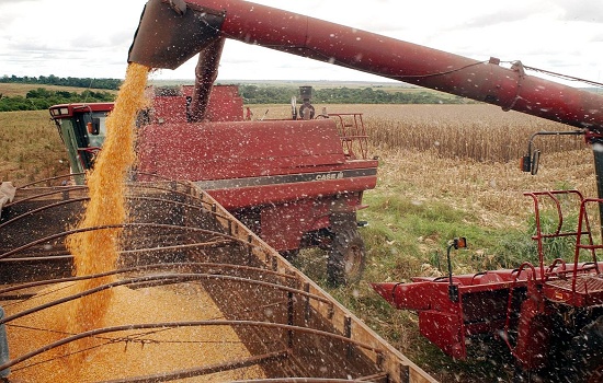 Especialista aborda os impactos no agronegócio e como proteger a produção rural