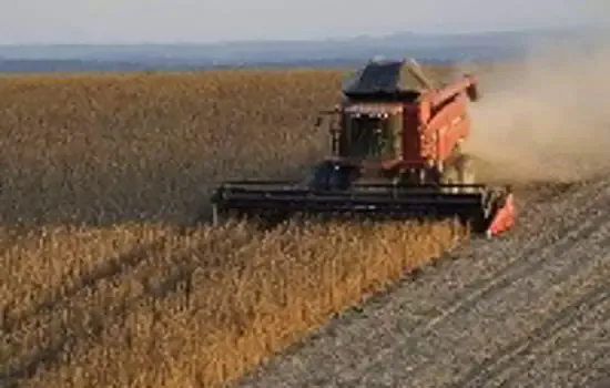 Pequenos e médios produtores rurais apresentam dificuldades na hora de contratar o Crédito