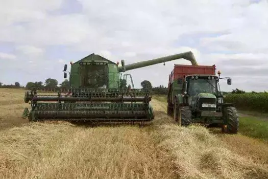 No campo, Brasil deixa sua marca no Panamá com exportações agropecuárias